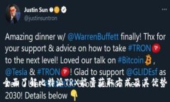 全面了解比特派TRX能量获