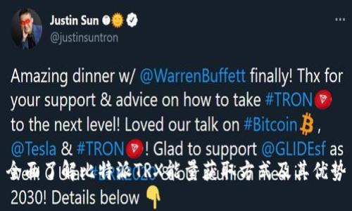 全面了解比特派TRX能量获取方式及其优势