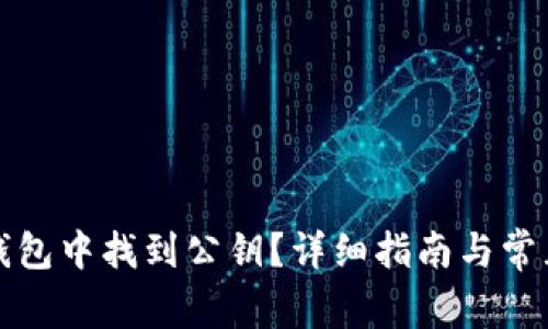 如何在TP钱包中找到公钥？详细指南与常见问题解答