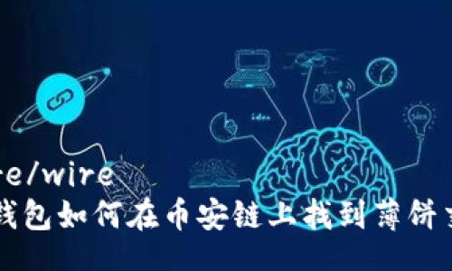 wire/wire  
TP钱包如何在币安链上找到薄饼交易
