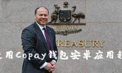 如何下载和使用Copay钱包安