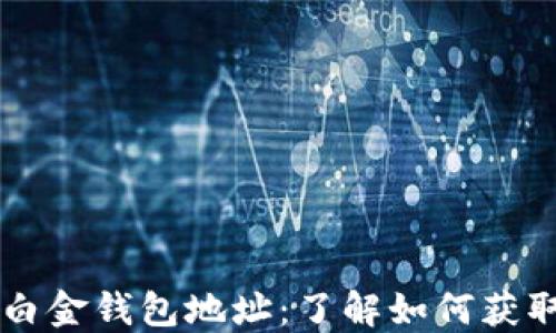 
比特币白金钱包地址：了解如何获取和使用