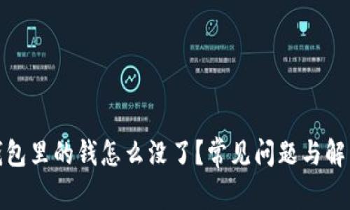 : TP钱包里的钱怎么没了？常见问题与解决方案