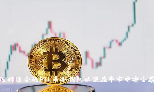 : 如何选择适合的FIL币冷钱包以便在牛市中安全存储资产