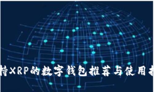 支持XRP的数字钱包推荐与使用指南