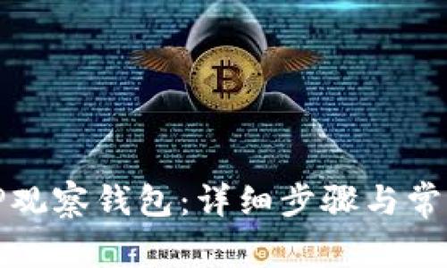 如何创建TP观察钱包：详细步骤与常见问题解答