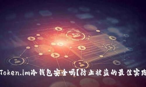 Token.im冷钱包安全吗？防止被盗的最佳实践