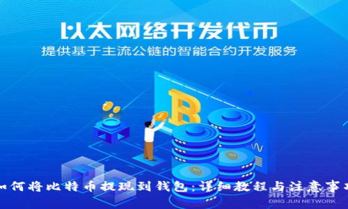 如何将比特币提现到钱包：详细教程与注意事项