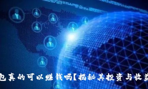 :
TP钱包真的可以赚钱吗？揭秘其投资与收益潜力