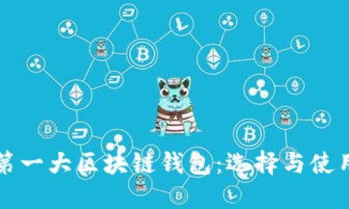 全球第一大区块链钱包：选择与使用指南