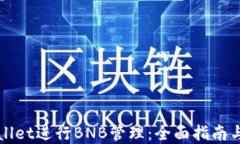 使用TPWallet进行BNB管理：全