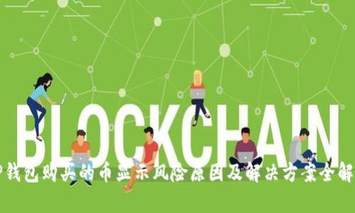 TP钱包购买的币显示风险原因及解决方案全解析