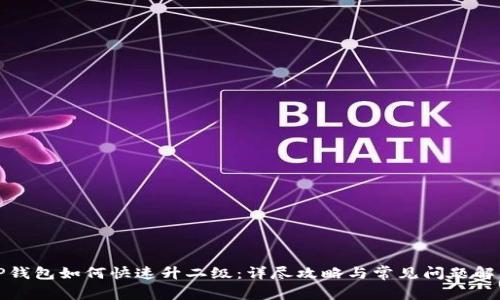 TP钱包如何快速升二级：详尽攻略与常见问题解析