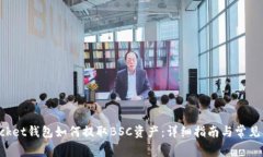 TokenPocket钱包如何提取BS