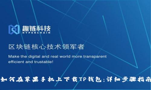 如何在苹果手机上下载TP钱包：详细步骤指南