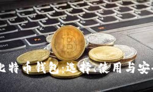 币币交易的比特币钱包：选择、使用与安全性全面指南