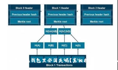 比特币存放在钱包里会消失吗？真相揭秘与安全指南