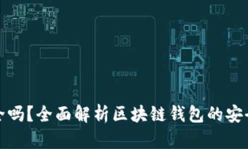 : TPWallet安全吗？全面解析区块链钱包的安全性与使用体验