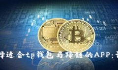 如何选择适合tp钱包马蹄链