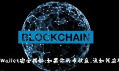 TPWallet安全揭秘：如果你的