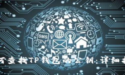 如何查找TP钱包的公钥：详细指南