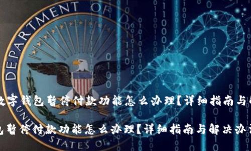 Title: 数字钱包暂停付款功能怎么办理？详细指南与解决办法

数字钱包暂停付款功能怎么办理？详细指南与解决办法
