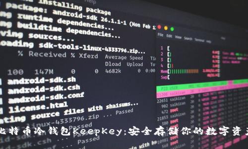 比特币冷钱包KeepKey：安全存储你的数字资产