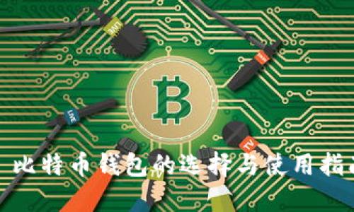: 比特币钱包的选择与使用指南