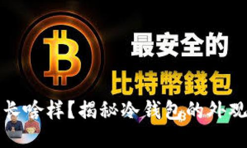 冷钱包长啥样？揭秘冷钱包的外观与功能