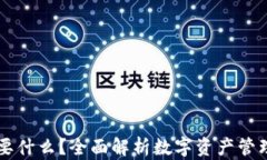 有TP钱包还要什么？全面解析数字资产管理的最佳