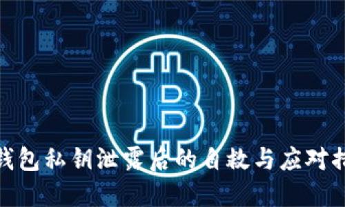 TP钱包私钥泄露后的自救与应对措施