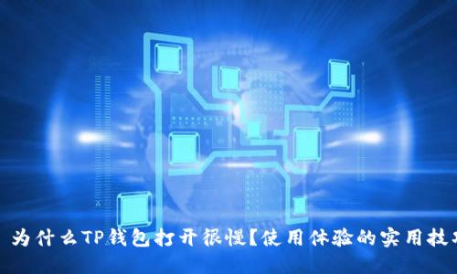 : 为什么TP钱包打开很慢？使用体验的实用技巧