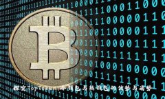 探究TopToken：冷钱包与热钱