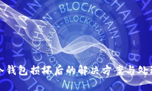 库神冷钱包损坏后的解决方案与处理技巧