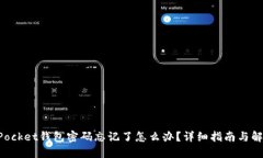 TokenPocket钱包密码忘记了怎