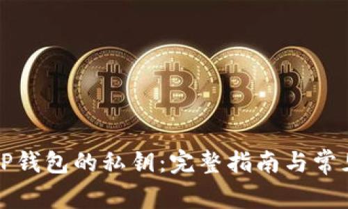 如何找回TP钱包的私钥：完整指南与常见问题解答