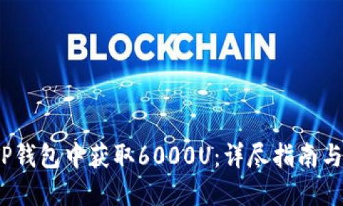  如何在TP钱包中获取6000U：详尽指南与实战经验
