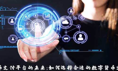 
数字货币支付平台的未来：如何选择合适的数字货币支付工具