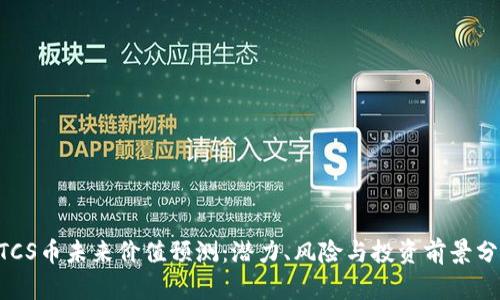 BTCS币未来价值预测：潜力、风险与投资前景分析