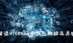 全面解读Bittrex冷钱包地址及其安全性
