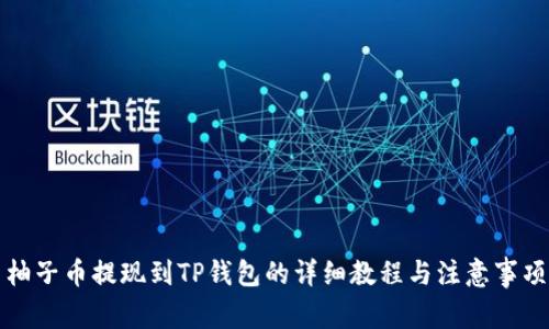 柚子币提现到TP钱包的详细教程与注意事项