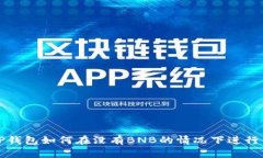 : TP钱包如何在没有BNB的情