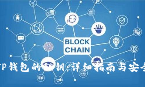 如何查询TP钱包的私钥：详细指南与安全注意事项