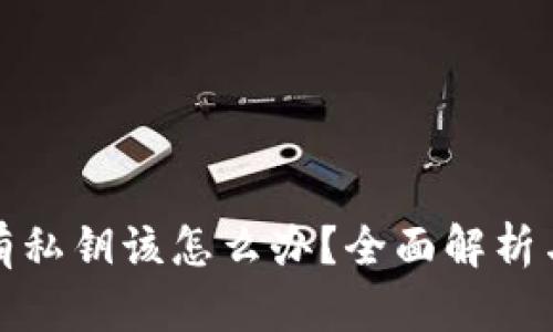 TP钱包没有私钥该怎么办？全面解析与解决方案