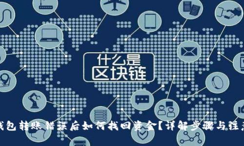 : TP钱包转账错误后如何找回资金？详解步骤与注意事项