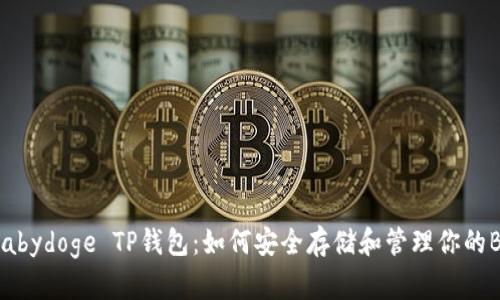 全面解析Babydoge TP钱包：如何安全存储和管理你的Babydoge币