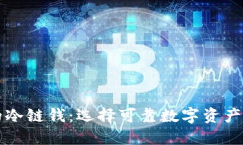 冷链钱包的冷链钱：选择可靠数字资产的全面指南