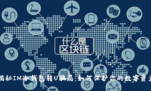 揭秘IM冷钱包转U骗局：如何保护你的数字资产