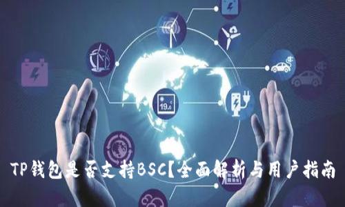 TP钱包是否支持BSC？全面解析与用户指南