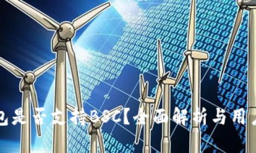TP钱包是否支持BSC？全面解析与用户指南